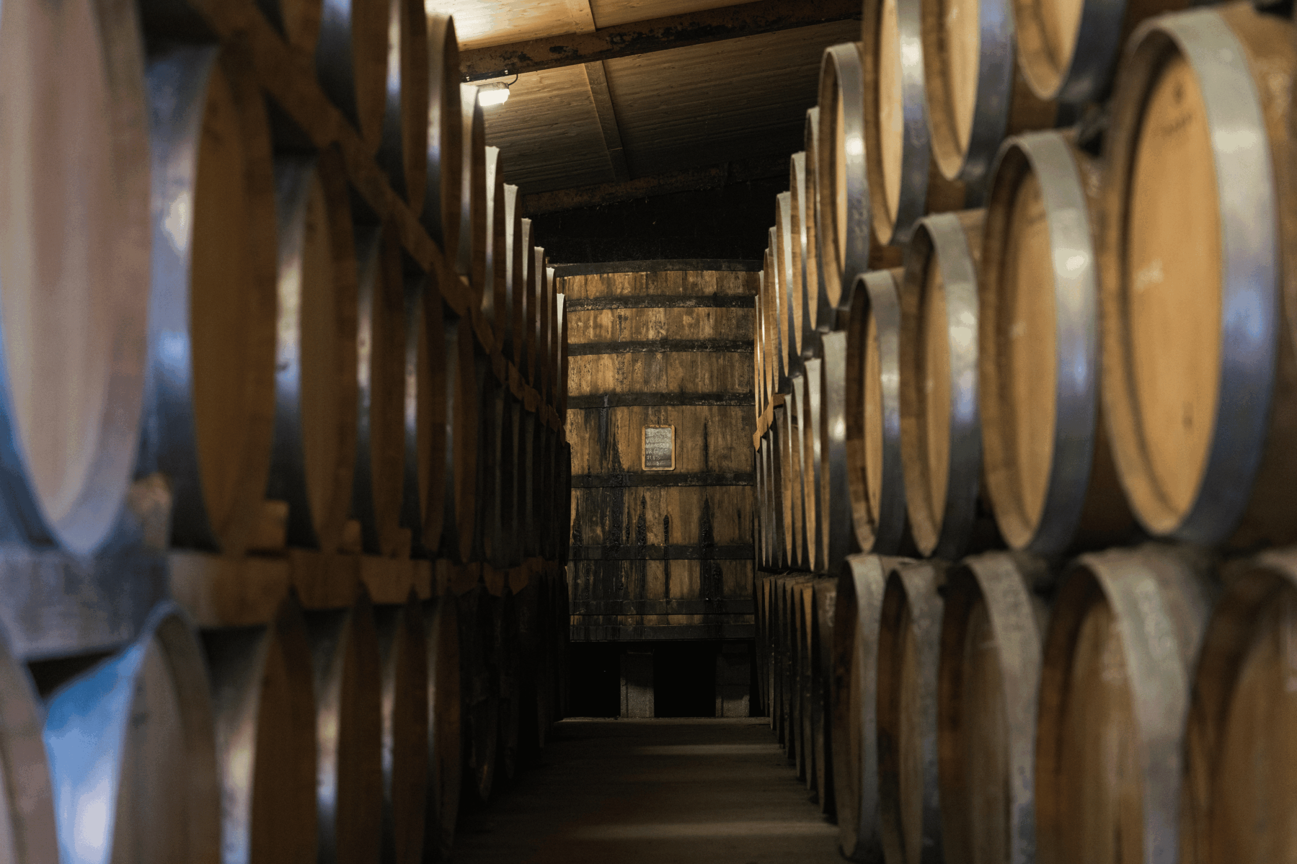 Oak barrels in the cellar